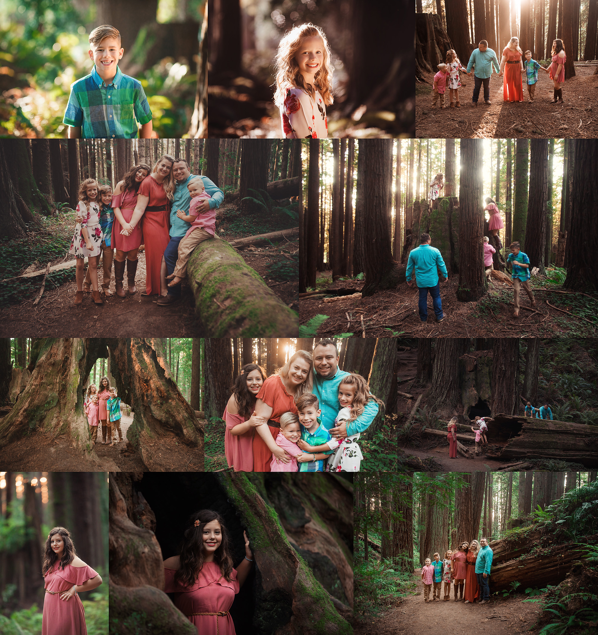 eureka california redwoods family photography child photos