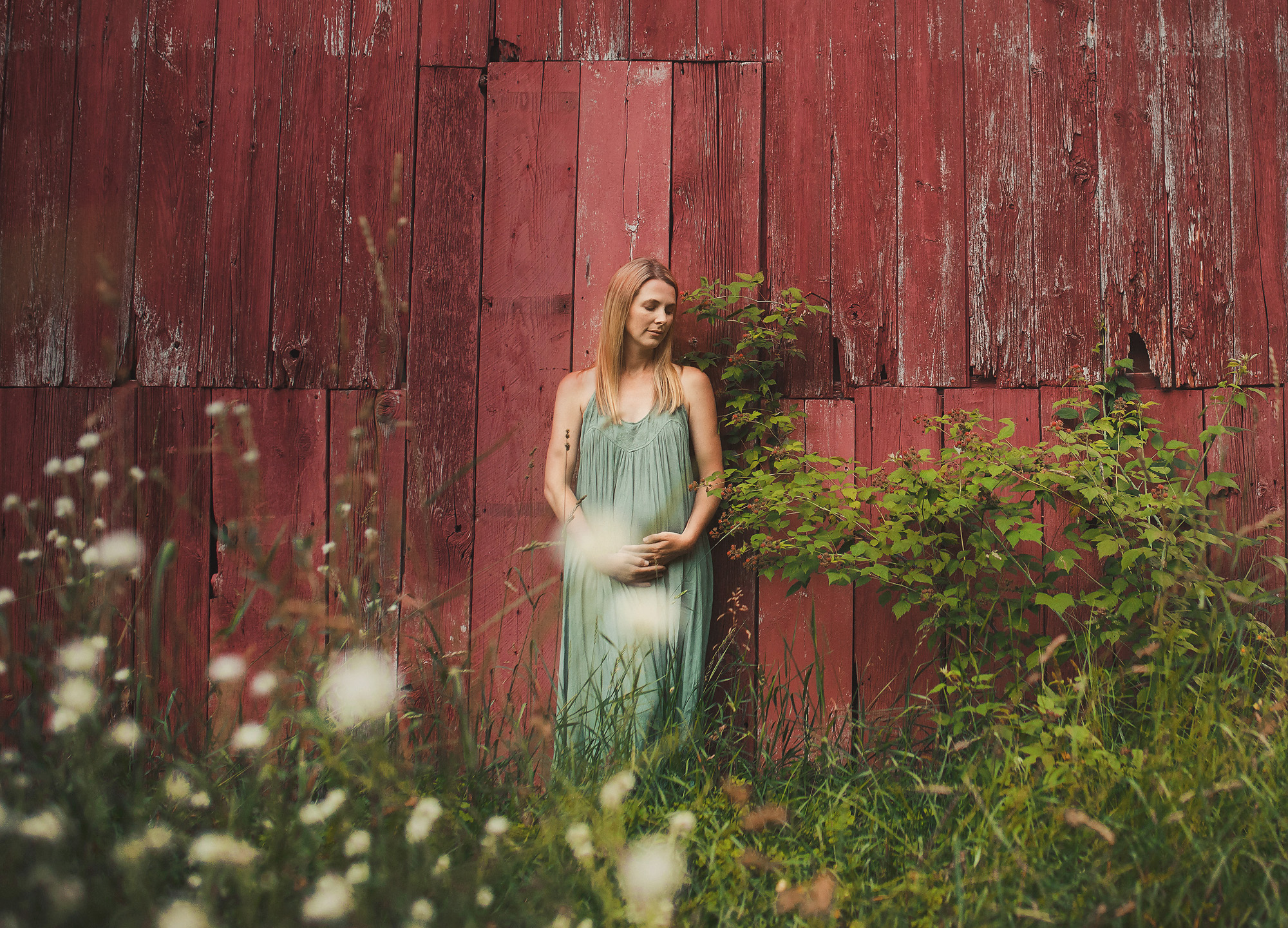 maternity portrait summer red barn