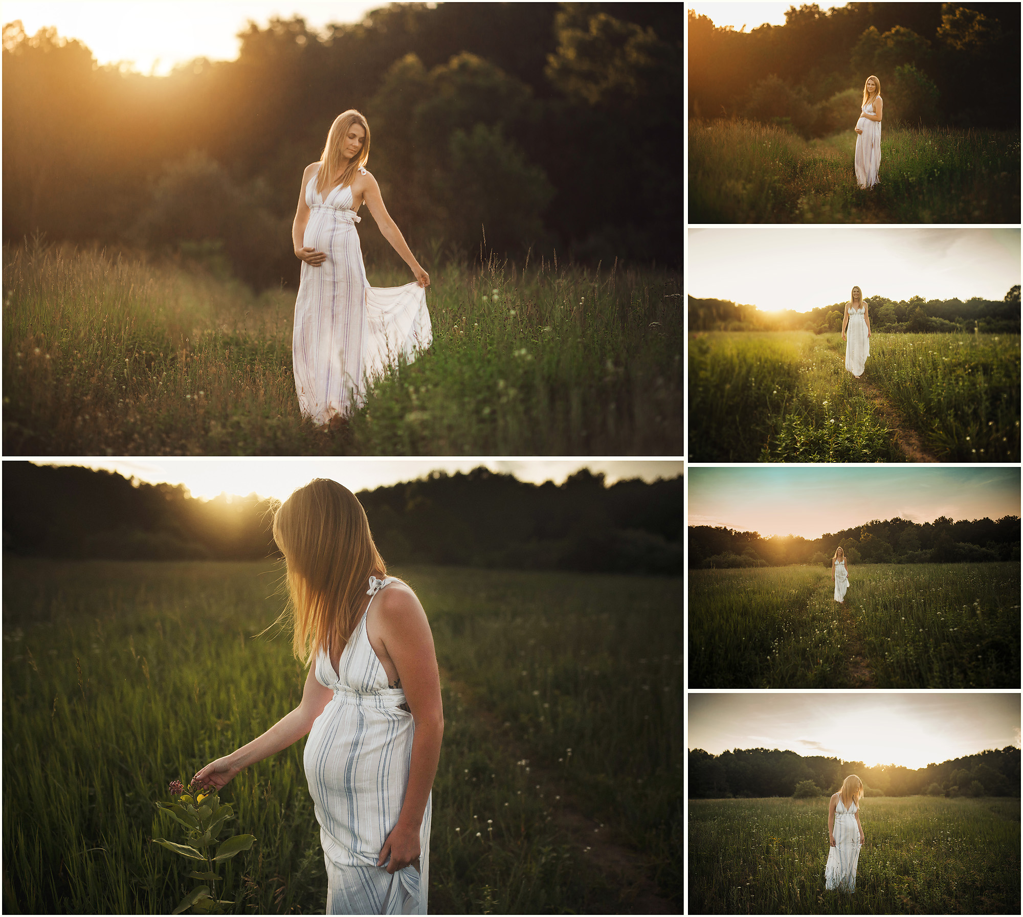 maternity portraits in field evening summer