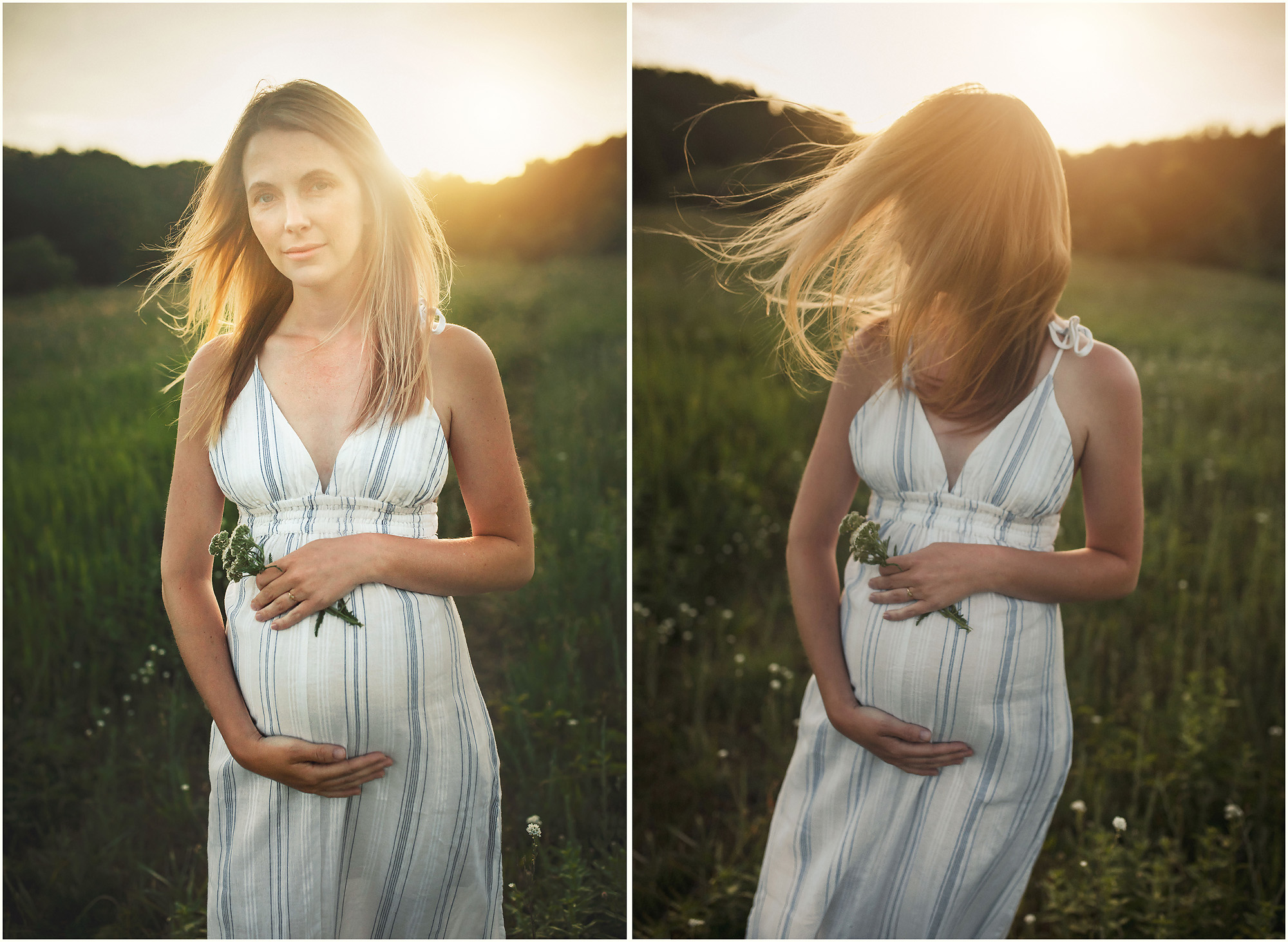 maternity portraits in field evening summer