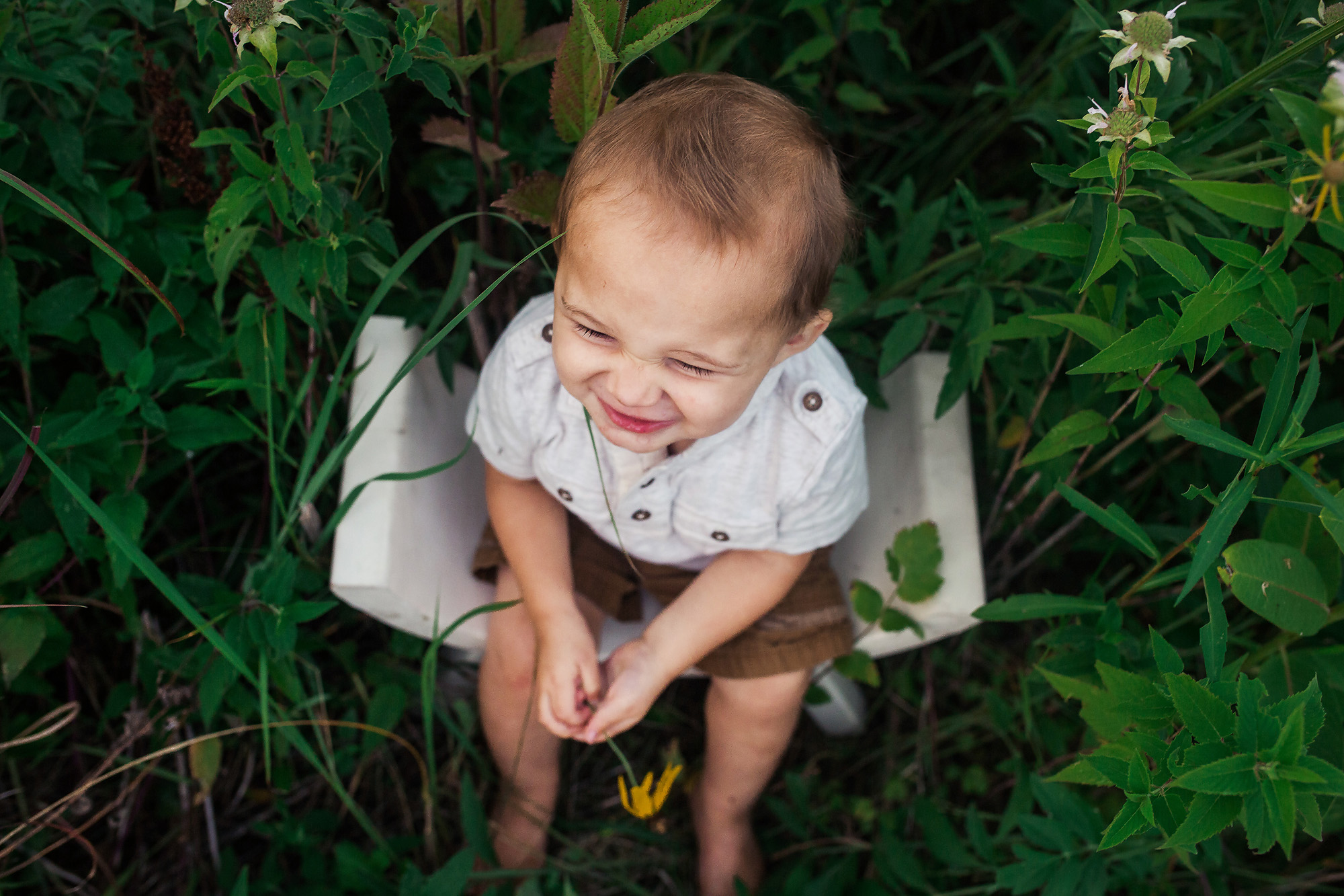 toddler boy giggling in grass