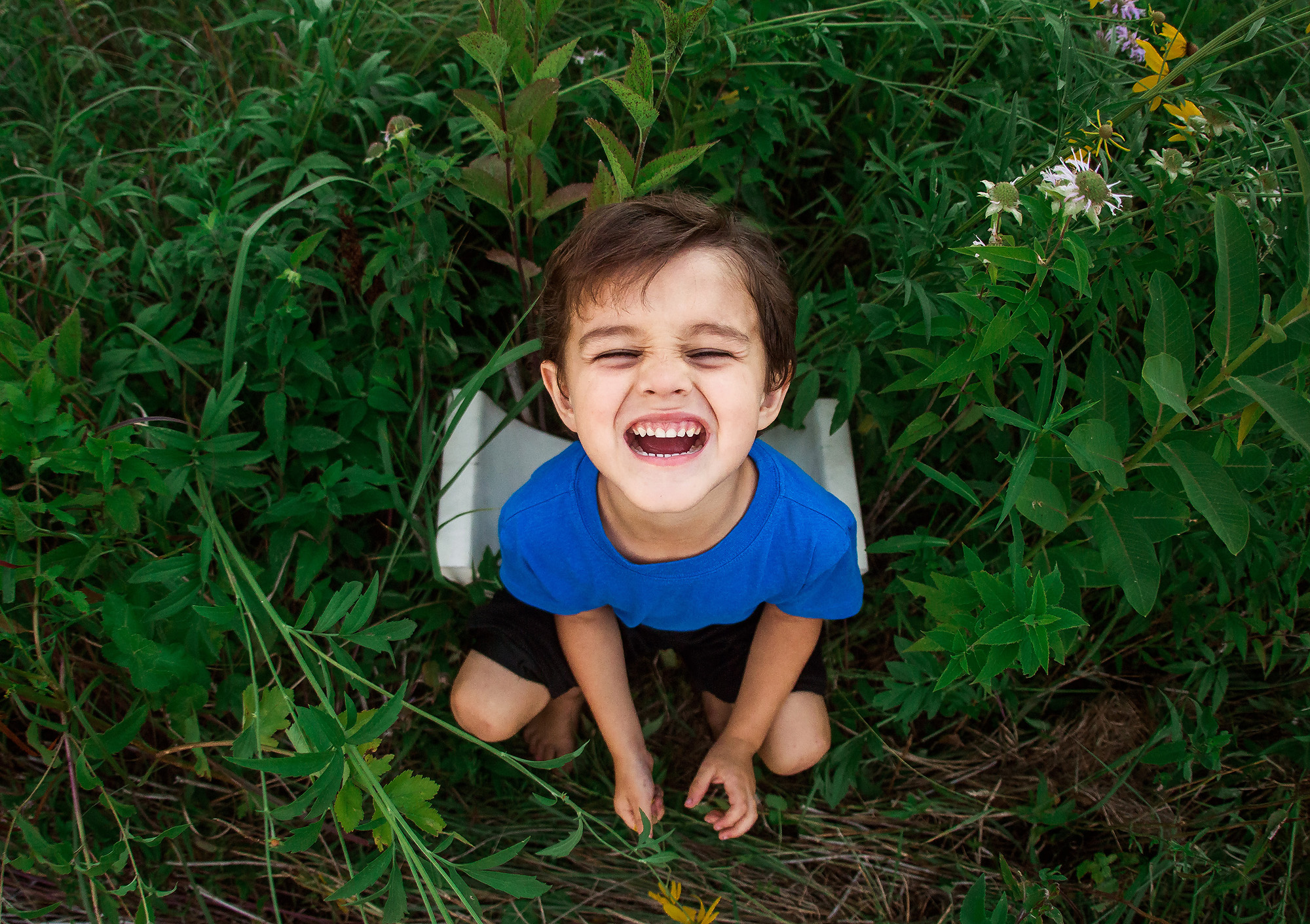 little boy laughing in grass