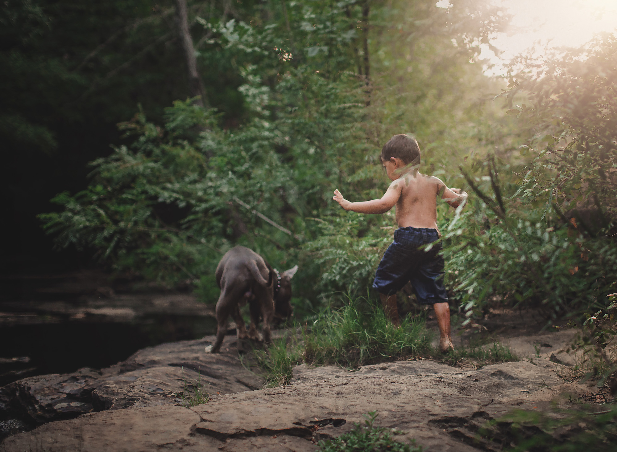 boy and dog exploring creek dallas