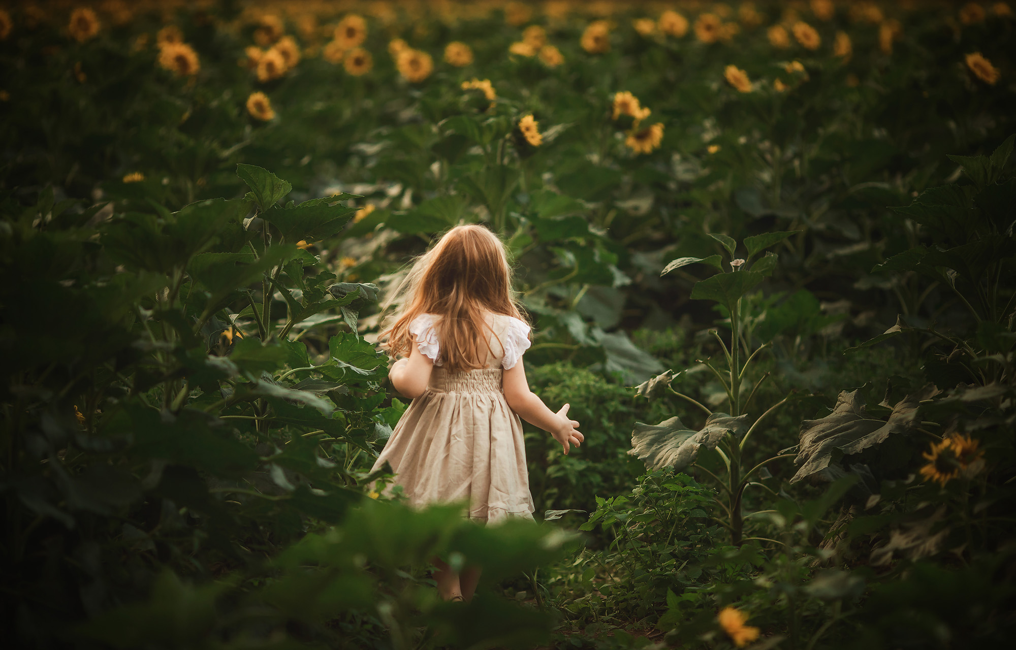 girl running through sunflower field