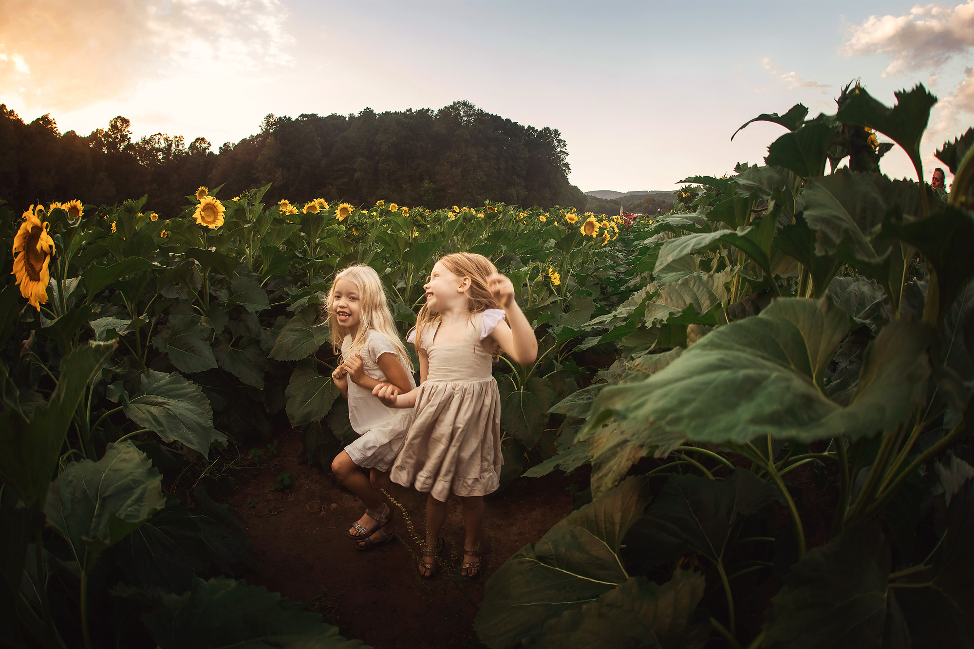sisters dancing by sunflower field