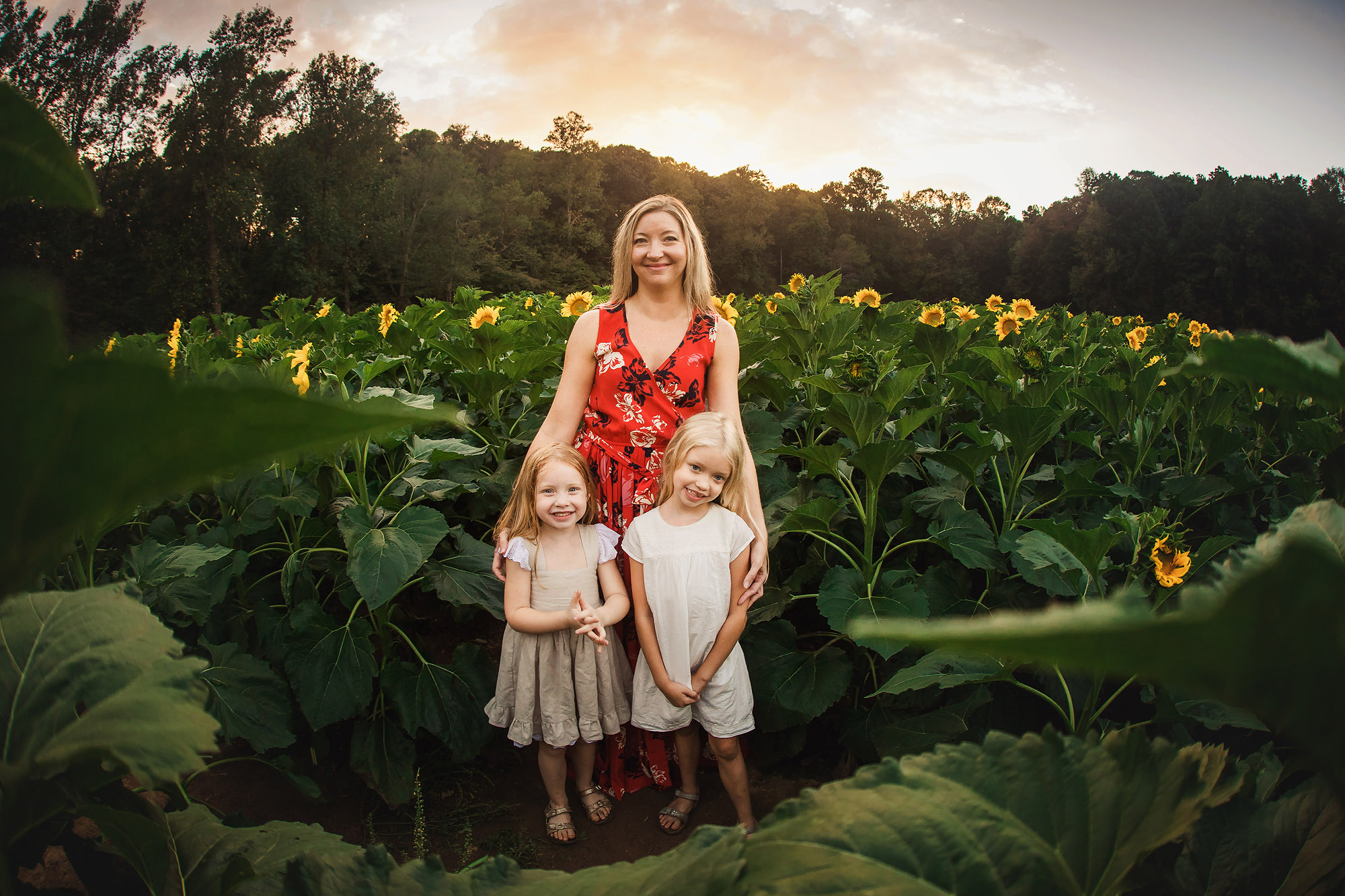 mother and daughters portrait sunflowers