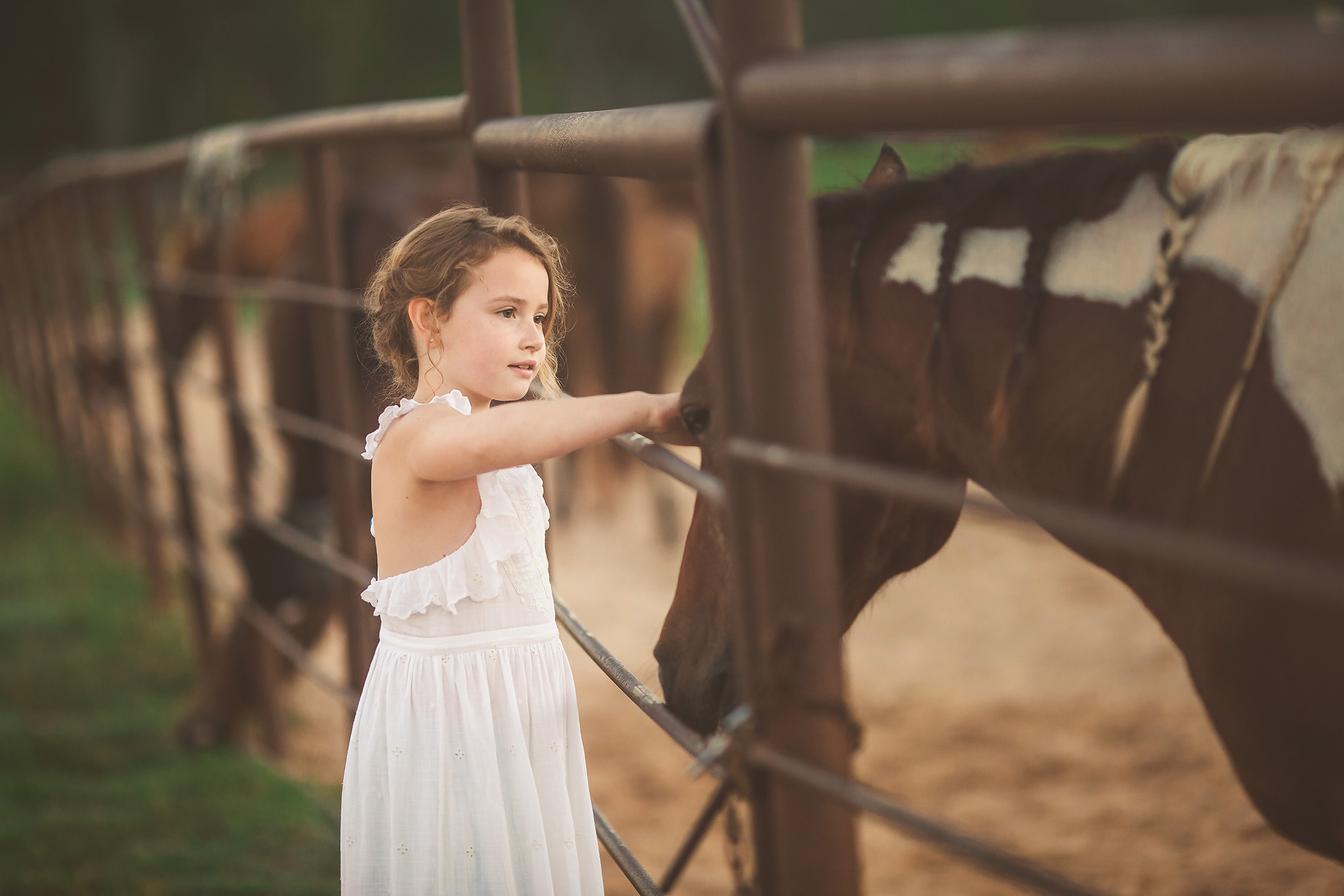 girl white dress watching horses