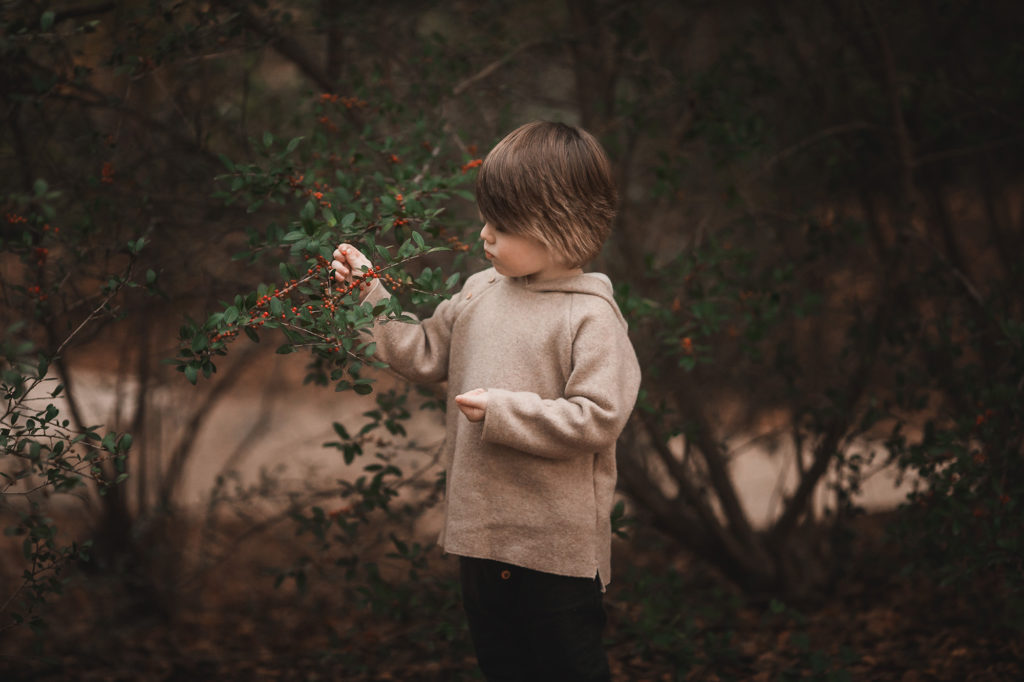 little boy picking berries from bush